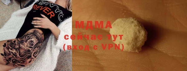 гидра Вязьма