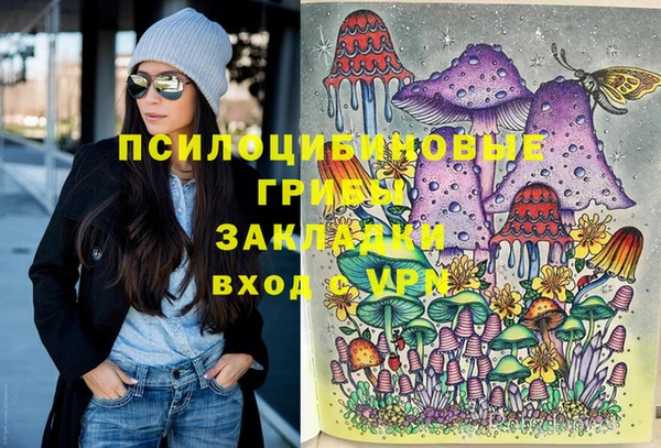 дмт Вяземский
