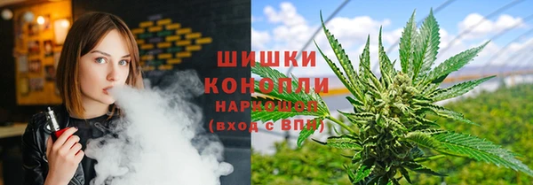 гидра Горно-Алтайск