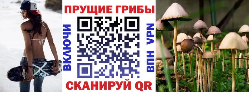 Псилоцибиновые грибы MAGIC MUSHROOMS  как найти   Заозёрск 